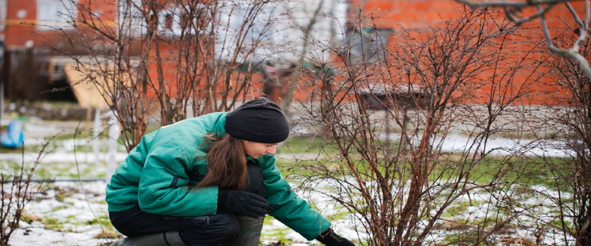 Winterizing Your California Garden for a Thriving Spring