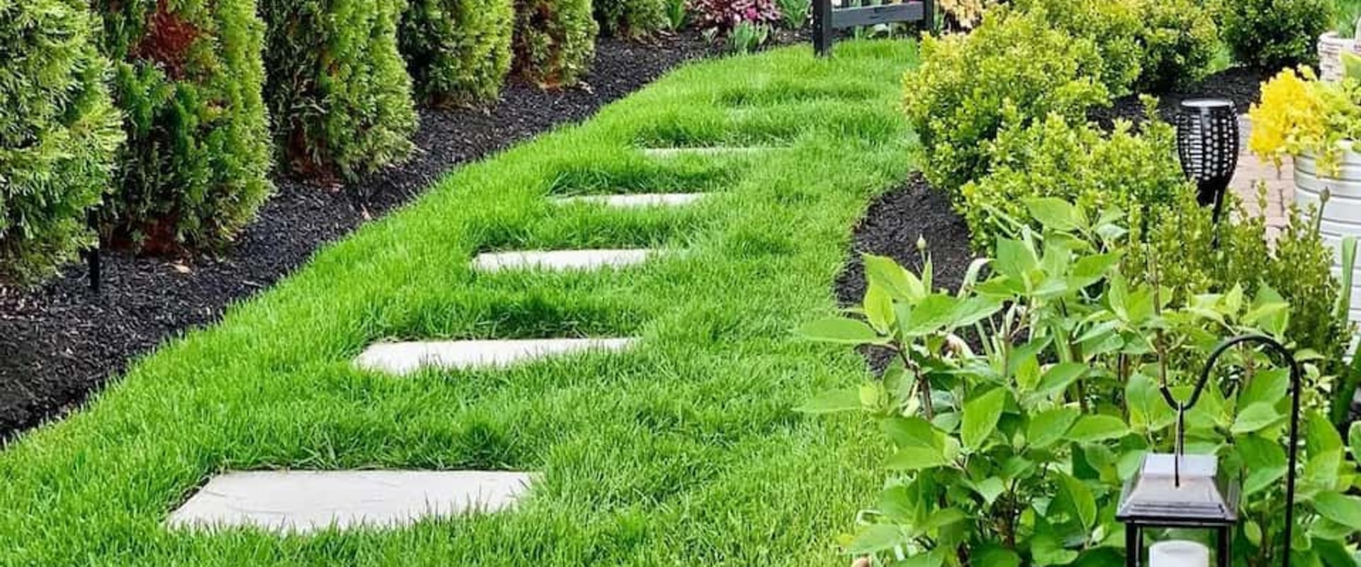 Enhancing Your California Home's Privacy Through Landscaping