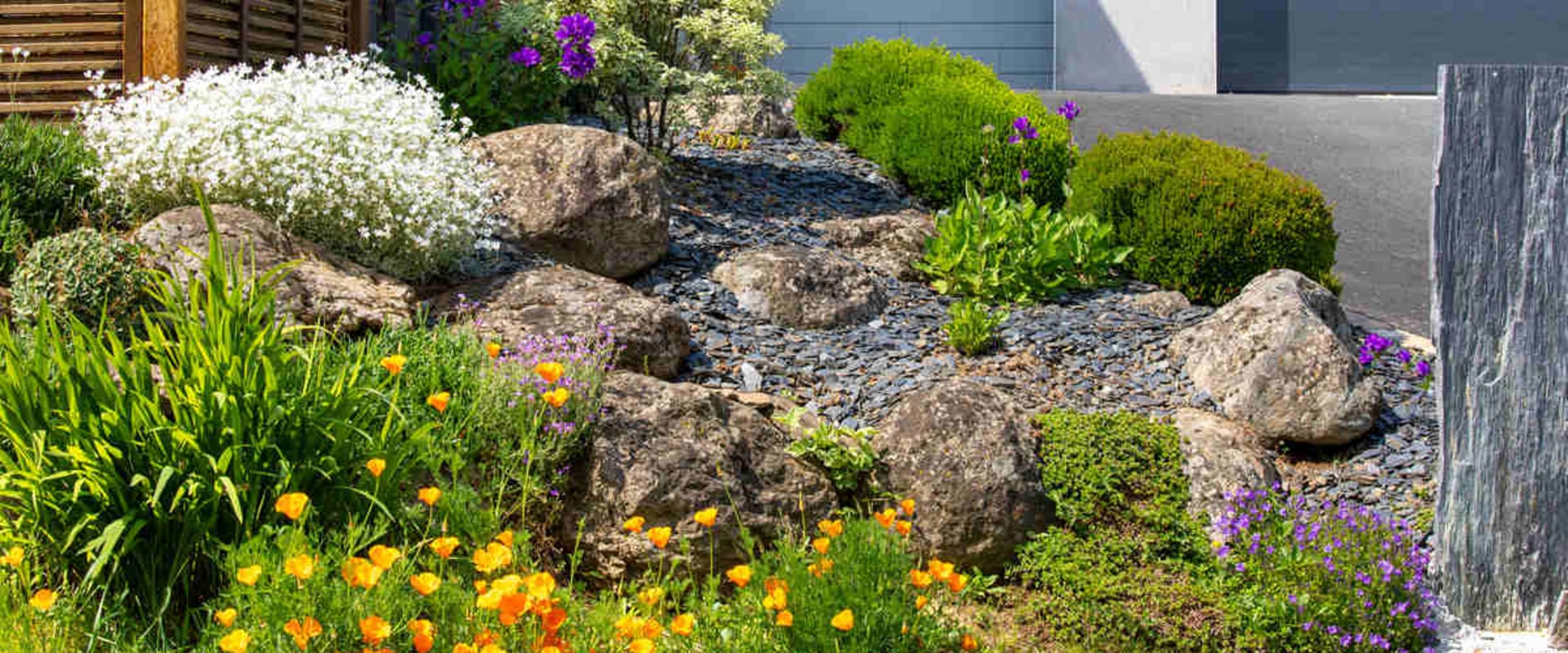 Transforming Your California Home with Low-Water Landscaping