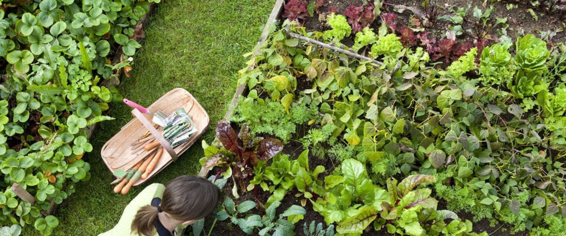 Essential Tips for Spring Planting in California Gardens