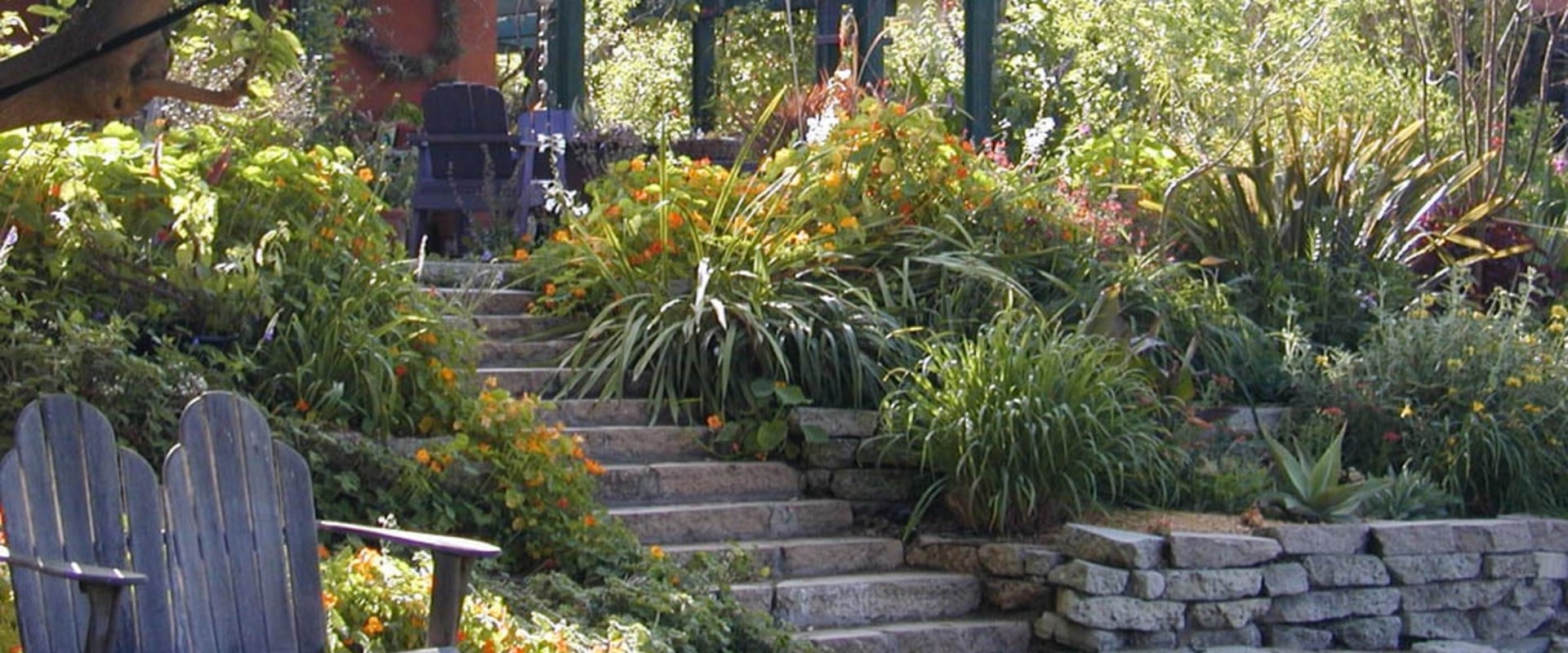 Transforming Your California Home with Thoughtful Landscaping
