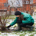 Winterizing Your California Garden for a Thriving Spring