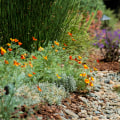 Essential Summer Maintenance Tips for Your California Landscape