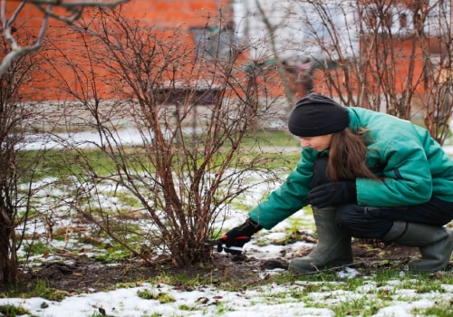 Winterizing Your California Garden for a Thriving Spring