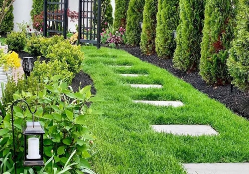 Enhancing Your California Home's Privacy Through Landscaping