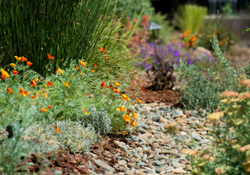 Essential Summer Maintenance Tips for Your California Landscape